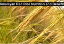 Himalayan Red Rice Nutrition and Benefits