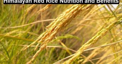 Himalayan Red Rice Benefit