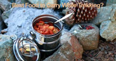 Food to Carry While Trekking